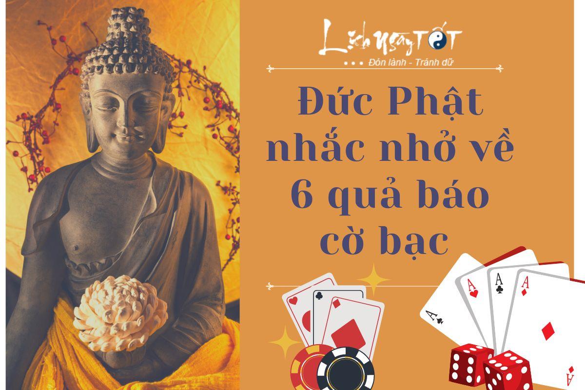 Cập nhật kết quả bóng đá nhanh chóng cùng 365 livescore hàng đầu Việt Nam