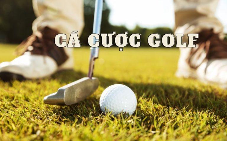 Tải ngay Zclub.vin APK để trải nghiệm sòng bạc trực tuyến hấp dẫn nhất