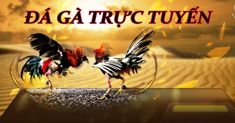 Khám phá cách chơi Lô Đề Siêu Tốc hiệu quả và mẹo tăng tỷ lệ thắng